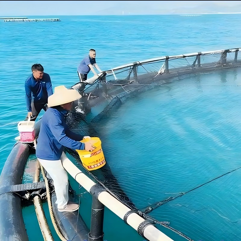 Các loại bơm được khuyến nghị cho ngành nuôi trồng thủy sản