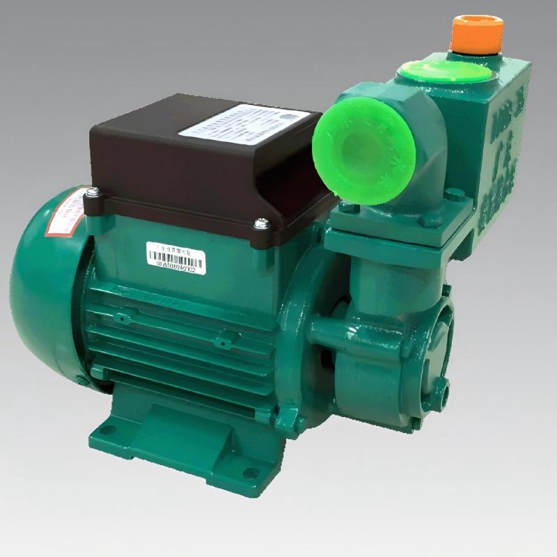 DB/ZDB household clean water pump